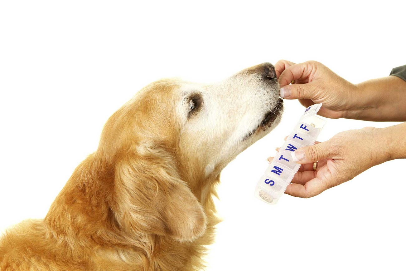 Veterinary Compounding in Ohio